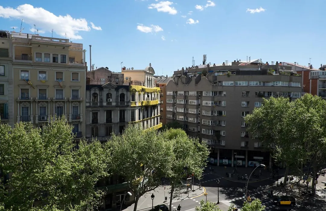 Chi-1